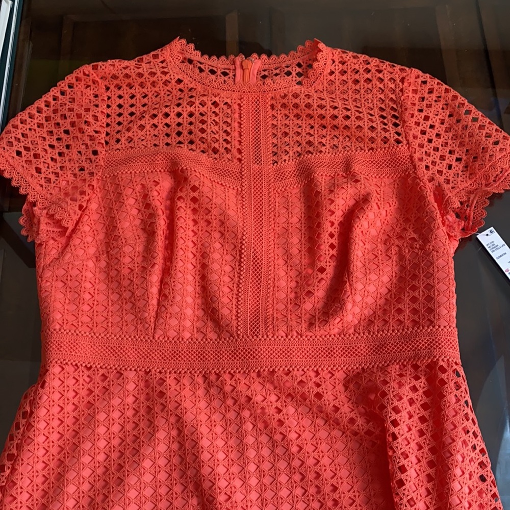 FIRM..Antonio Melani Stella Lace Scallop A Line Dress. - Picture 8 of 13